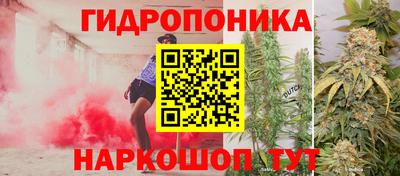 прущие грибы Кинель