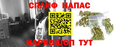 ECSTASY Кимры