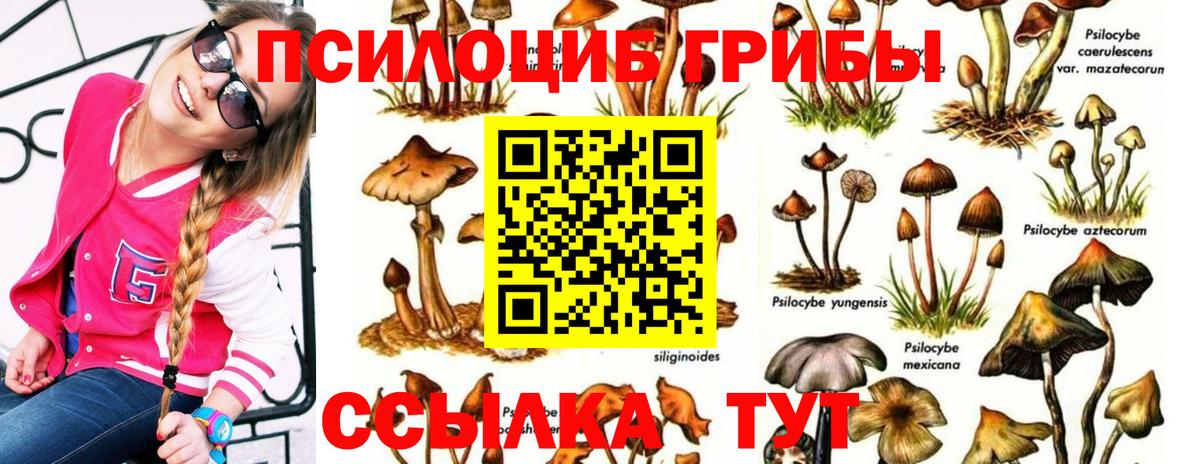 Галлюциногенные грибы Cubensis  Галлюциногенные грибы MAGIC MUSHROOMS  Вход с VPN  Карталы 