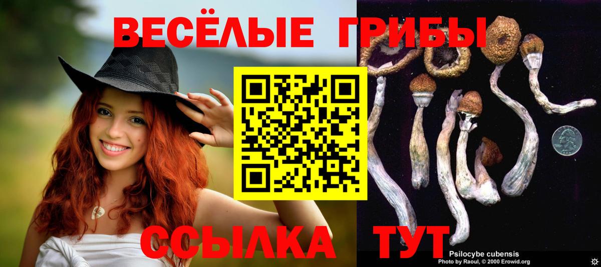 Псилоцибиновые грибы ЛСД Карталы